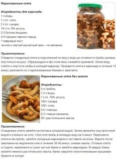 Рецепт Вкусный Маринованный Грибов